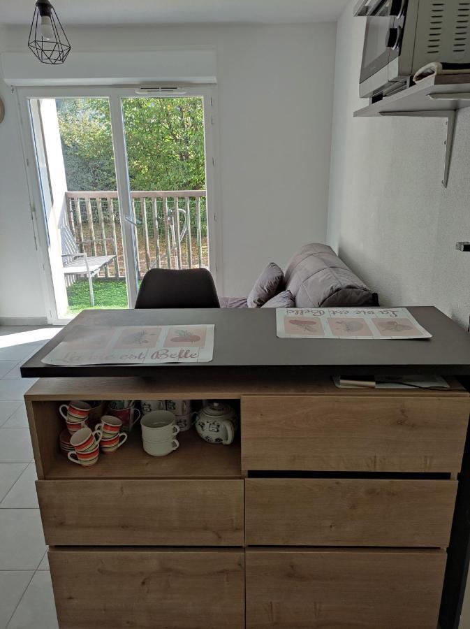 Superbe Appartement En Rez-De-Jardin A Lanton Exteriér fotografie